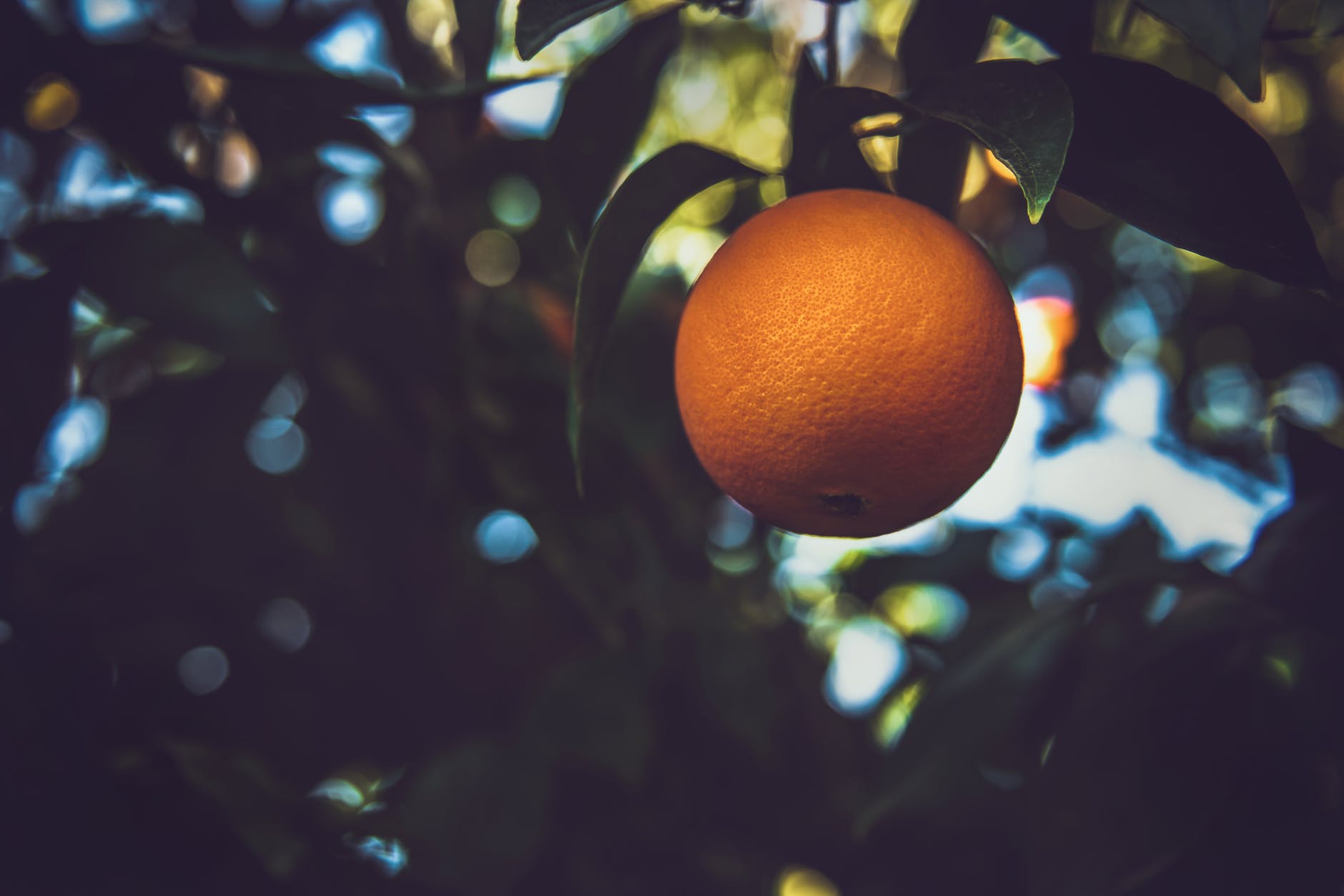 Sztuka negocjacji – opowieść o pomarańczach